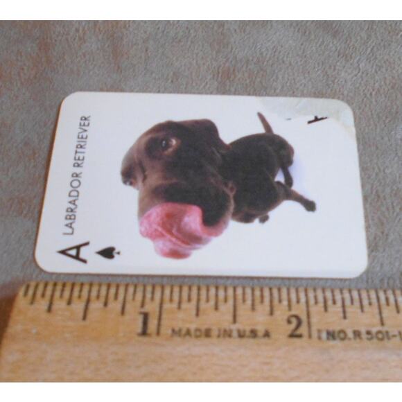 Artlist Collection The Dog Mini Playing Cards Incomplete Great for Crafts - Picture 7 of 8